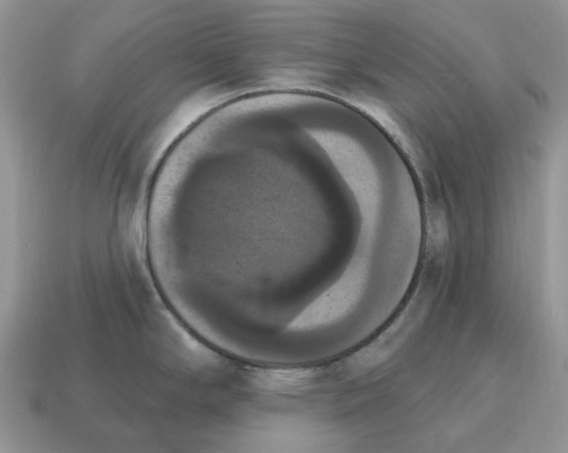 X0000114581294200911091228