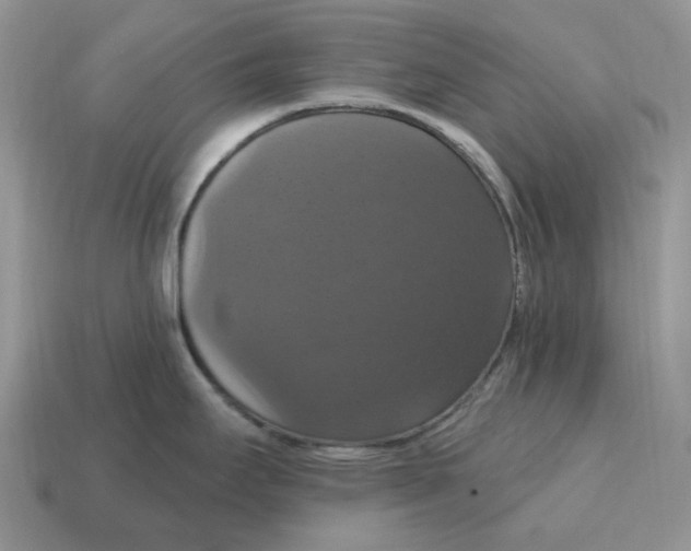 X0000114581295200911091228