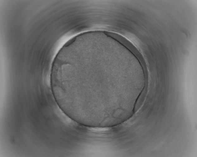 X0000114581296200911091228