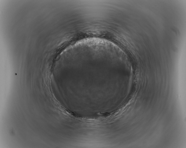 X0000114581297200911091227