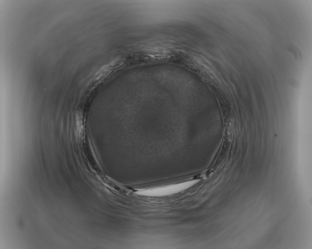 X0000114581298200911091228