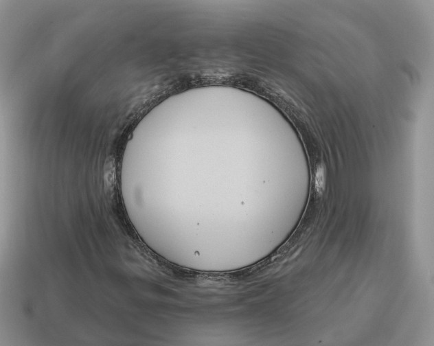 X0000114581299200911091228