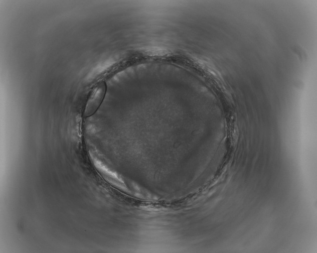 X0000114581301200911091228