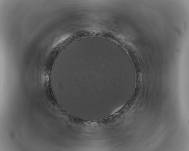 X0000114581302200911091228