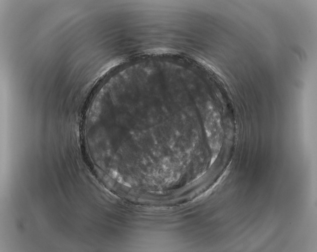 X0000114581305200911091228