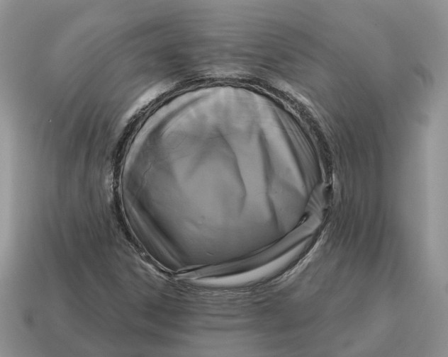 X0000114581306200911091228