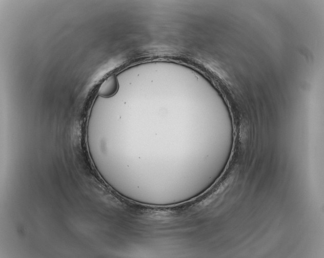 X0000114581309200911091228