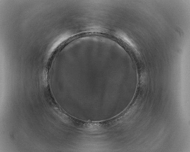 X0000114581310200911091228