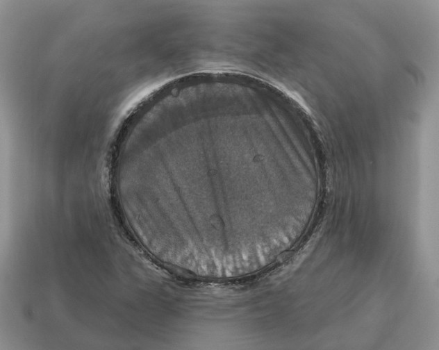 X0000114581311200911091228