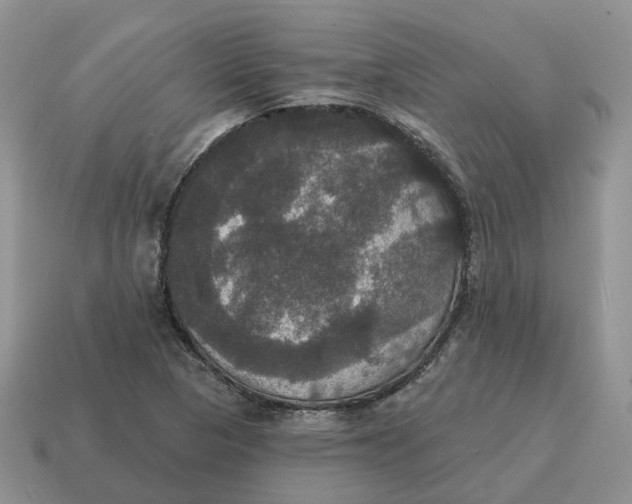 X0000114581313200911091228