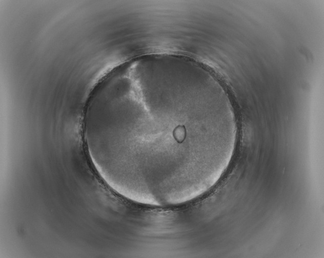 X0000114581314200911091228