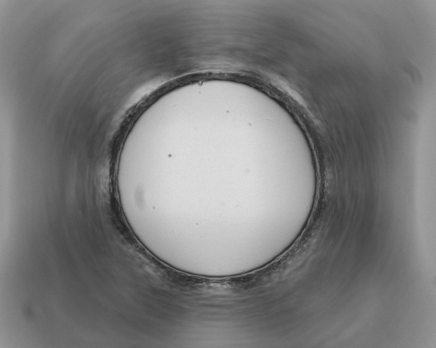 X0000114581315200911091228