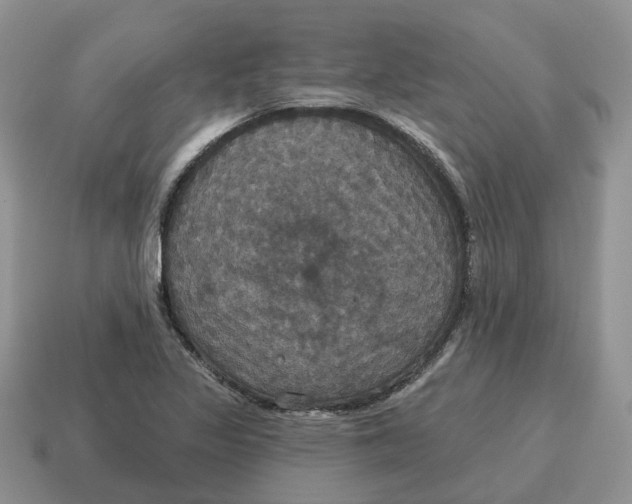 X0000114581317200911091228