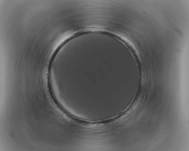 X0000114581325200911091228