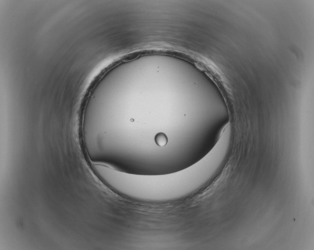 X0000114581326200911091228