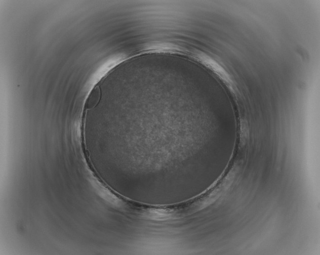 X0000114581330200911091228