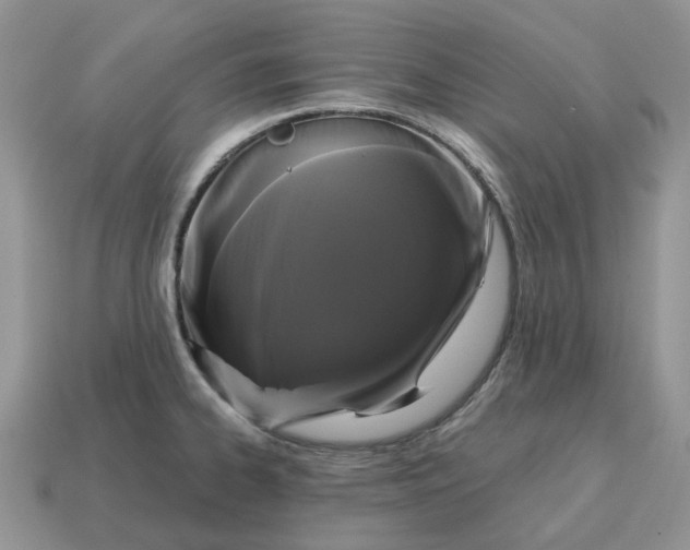 X0000114581334200911091228