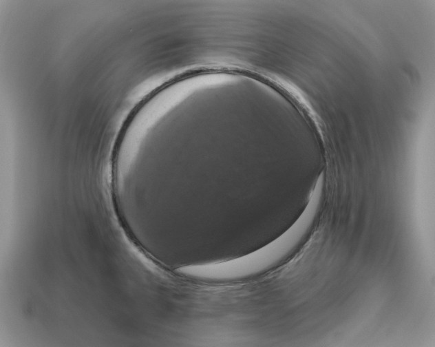 X0000114581335200911091228