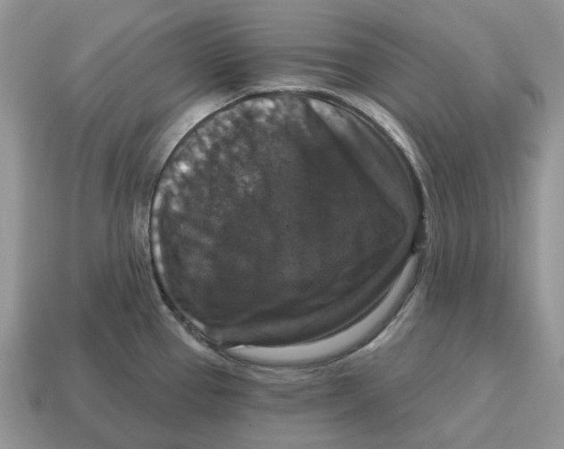 X0000114581337200911091228