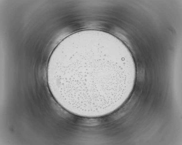 X0000114581338200911091228