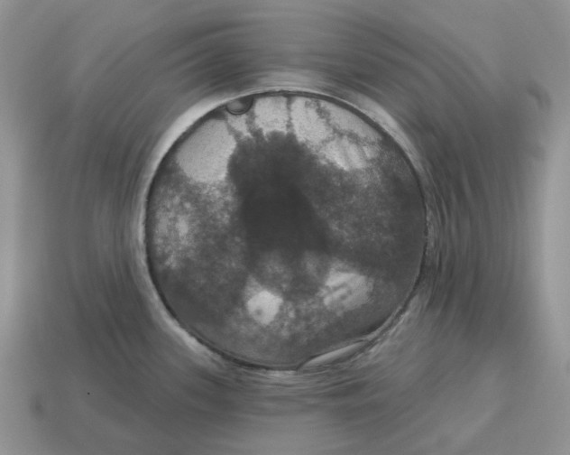 X0000114581339200911091228