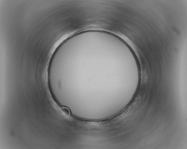 X0000114581341200911091228