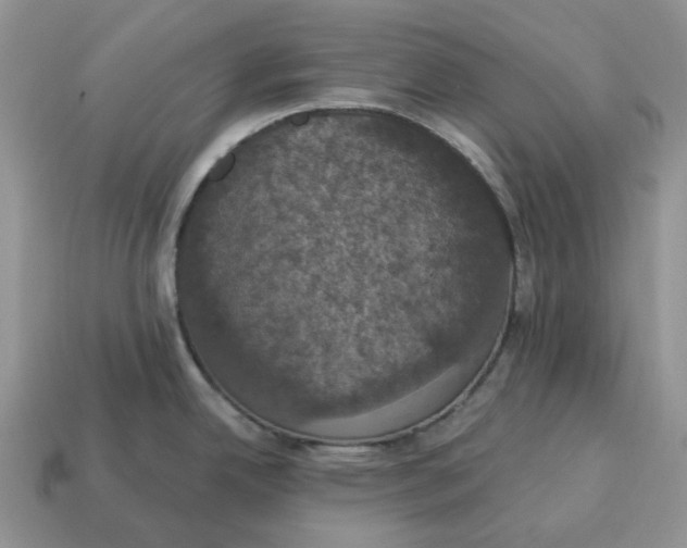 X0000114581342200911091228