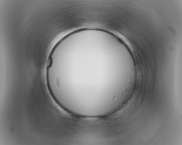 X0000114581343200911091228