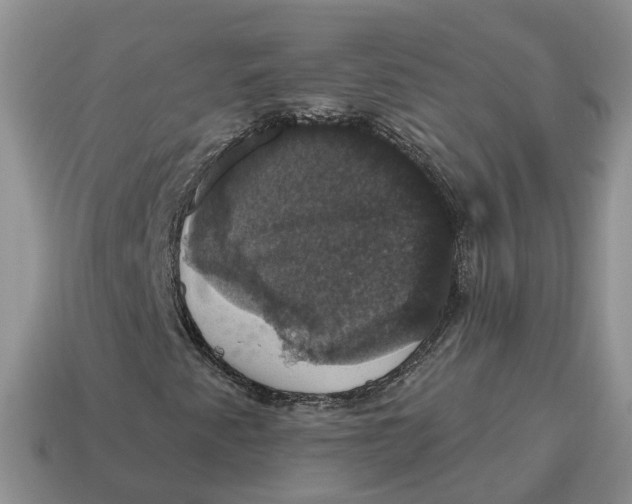 X0000114581345200911091227