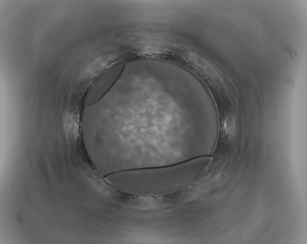 X0000114581348200911091227