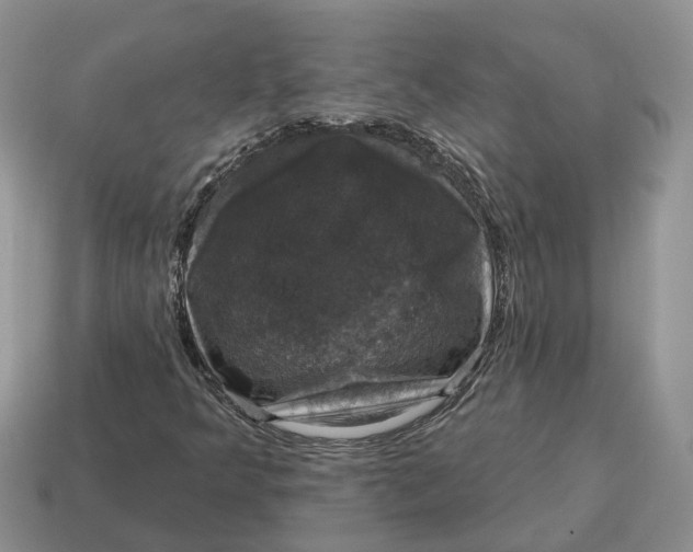 X0000114581349200911091227