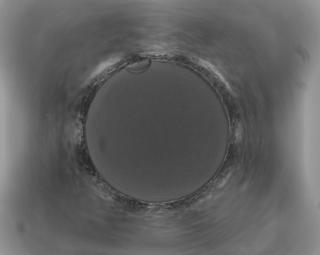 X0000114581350200911091227