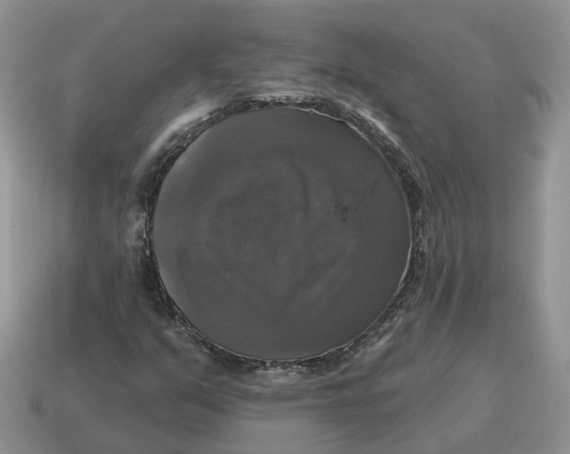 X0000114581351200911091227