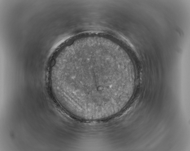 X0000114581352200911091227