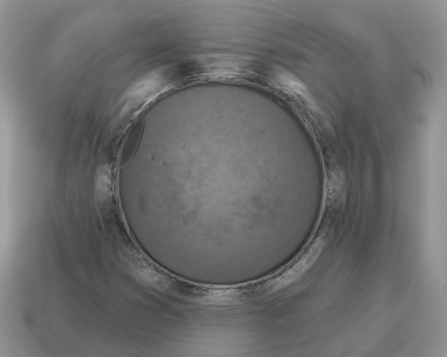 X0000114581353200911091227