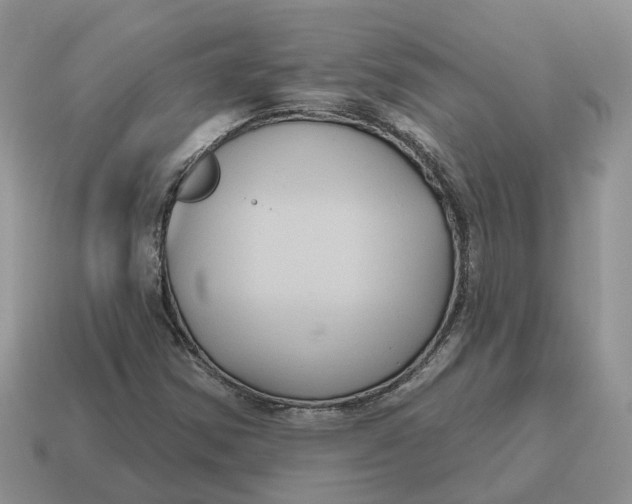 X0000114581354200911091227