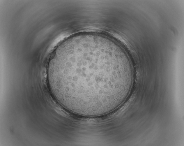 X0000114581355200911091227