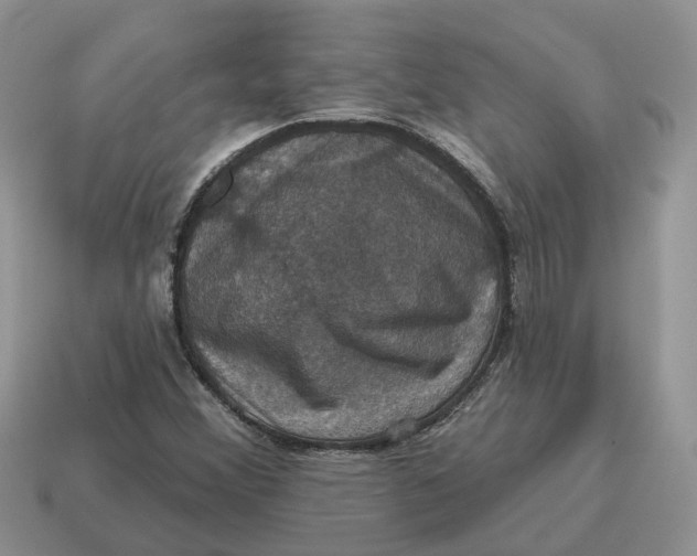 X0000114581356200911091227