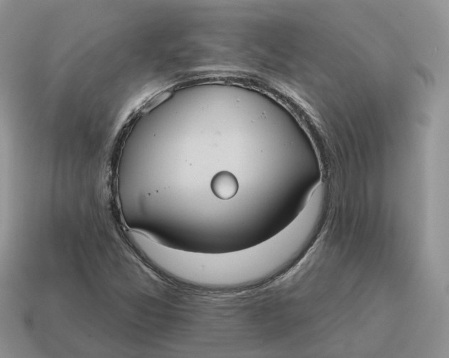 X0000114581357200911091227