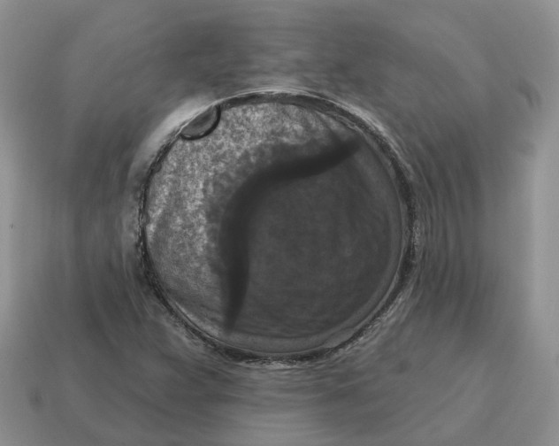 X0000114581359200911091227