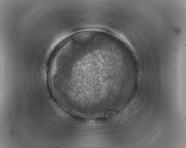 X0000114581360200911091227