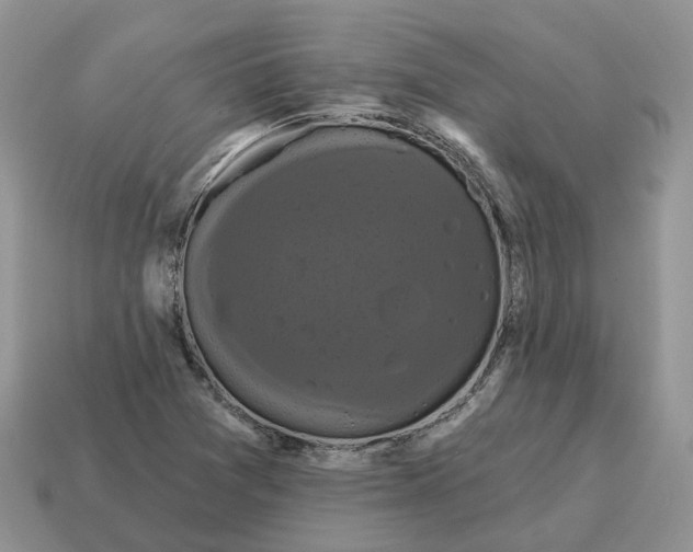 X0000114581361200911091227