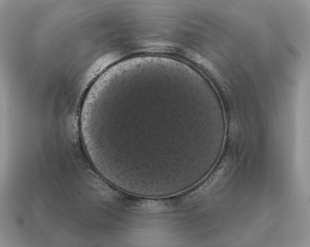 X0000114581362200911091227