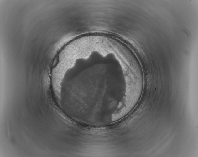 X0000114581363200911091227