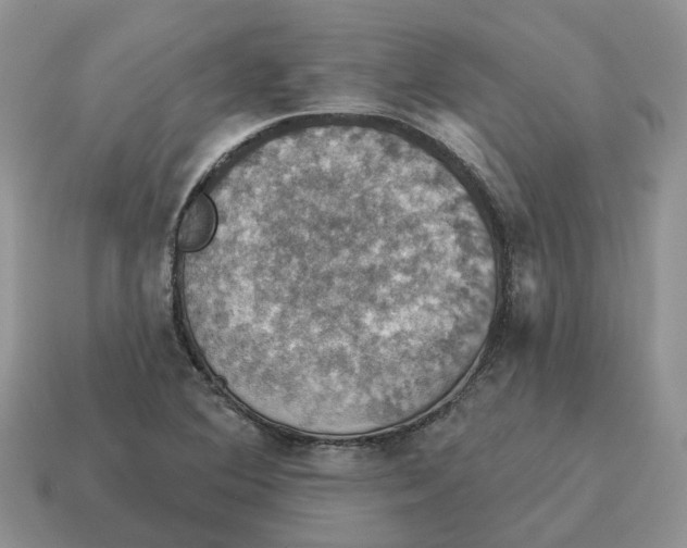 X0000114581364200911091227