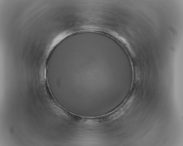 X0000114581365200911091227