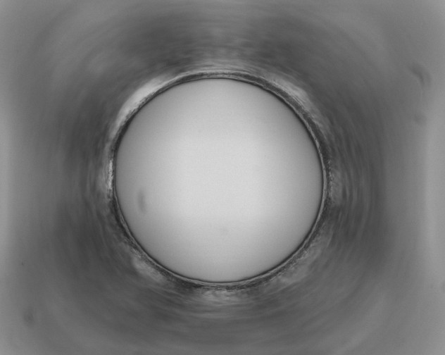 X0000114581366200911091227