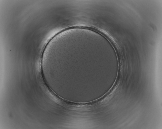 X0000114581367200911091227