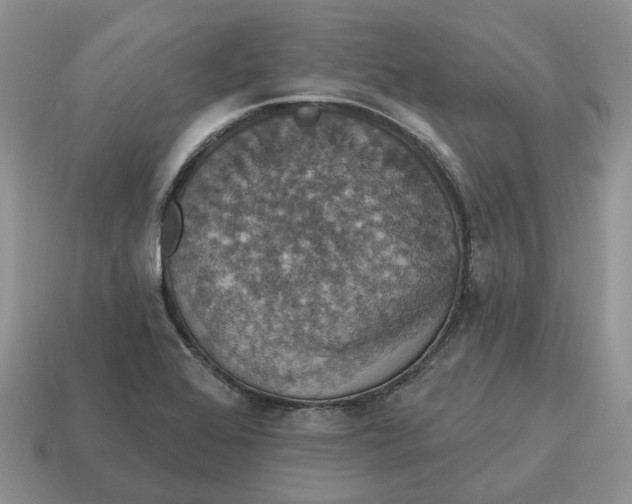 X0000114581368200911091227