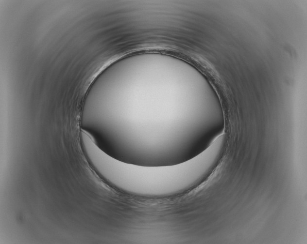 X0000114581369200911091227